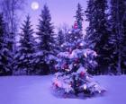 Gökyüzünde ay bir karlı manzara Noel ağaçları